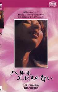 NKT-245川村真樹,片桐夕子