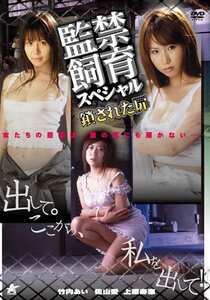 DJM-039麻木涼子,乙音奈々,浅田なつき,正田美里,今野梨乃,黒沢英里奈（喜田嶋りお）,星野あかり,上原寿恵,佐山愛