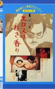 NKT-053 伊佐山ひろ子,桃井かおり,川村真樹,橘田良江