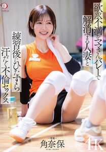 DLDSS-431角奈保