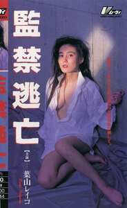 KF-5300葉山レイコ,松居千佳