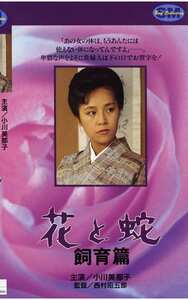 NKT-038小川美那子,矢生有里,舵川まり子