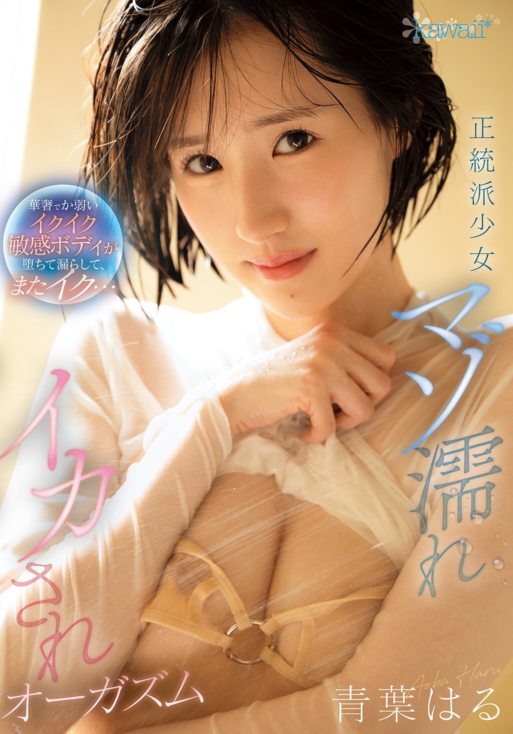 CAWD-878青葉はる