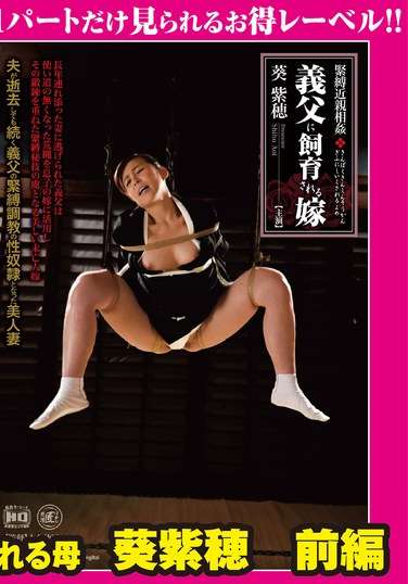GML-376葵紫穂