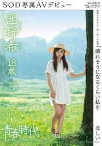 SDAB-002西野希