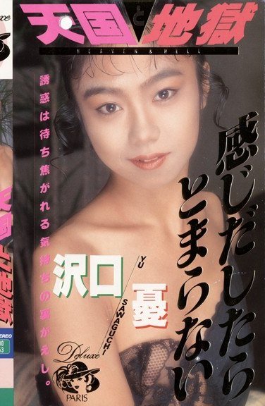 DP-005 沢口憂