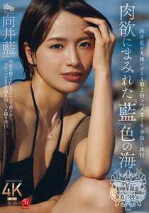 JUR-585向井藍