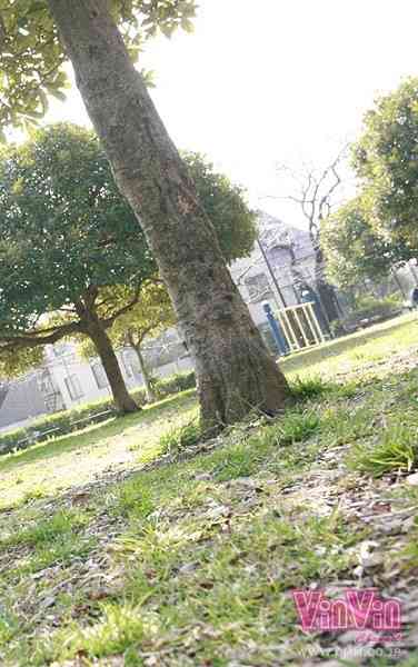 VINVIN-057 