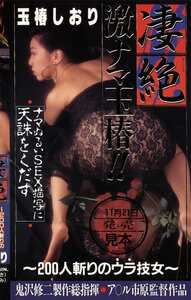 Y-063玉椿しおり