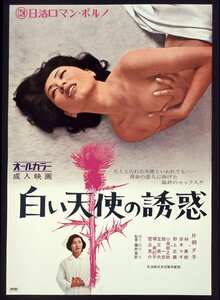 NKT-452 片桐夕子,林美樹,岸本マギ,堺美紀子