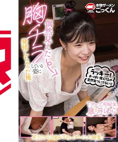 AKDL-313C皋月由罗