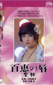 NKT-236日向明子,村川めぐみ,泉じゅん,早川由美