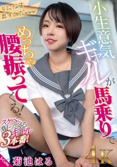 SQTE-555菊池春